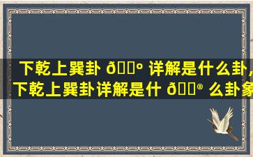 下乾上巽卦 🐺 详解是什么卦,下乾上巽卦详解是什 💮 么卦象
